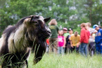 Karlovarský kraj opět podpoří exkurze školáků do ekofarem Karlovarský kraj opět podpoří exkurze školáků do ekofarem